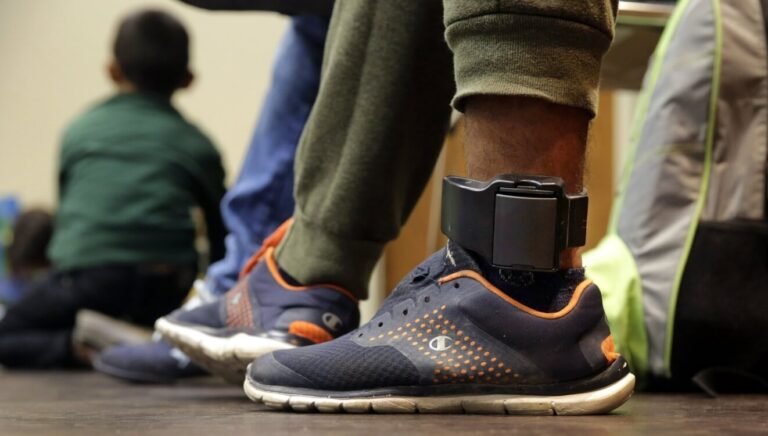 Ley de tobilleras electrónicas sería una «medida paliativa» según Viceministra Silvia Blasco