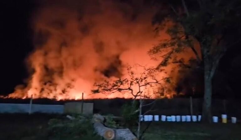 Bomberos lograron sofocar incendio cercano a un albergue de perros