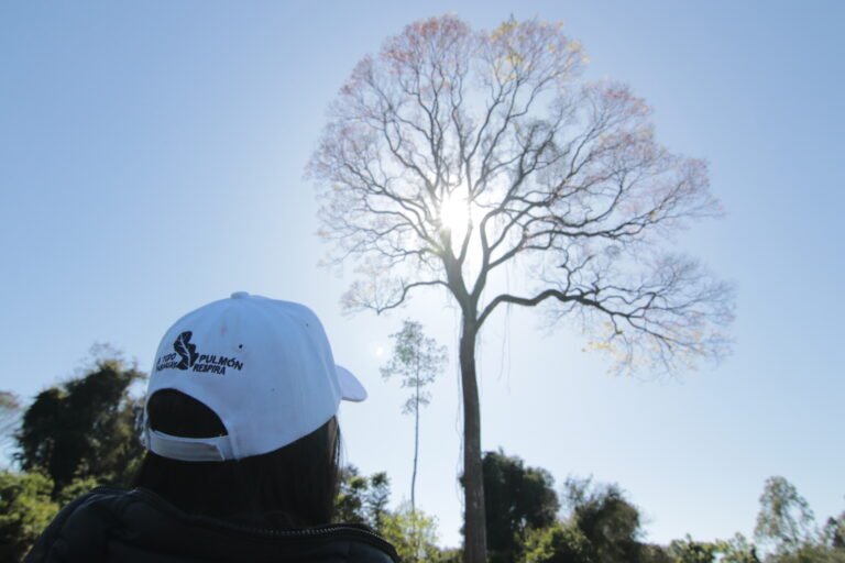 Desde hace 15 años Paraguay Respira “A Todo Pulmón”