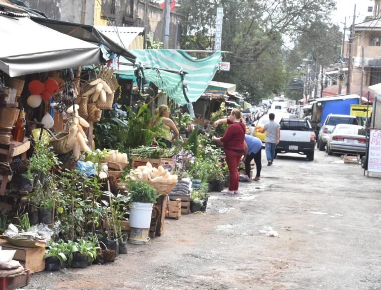 Inseguridad en el Paseo de los Yuyos del mercado 4
