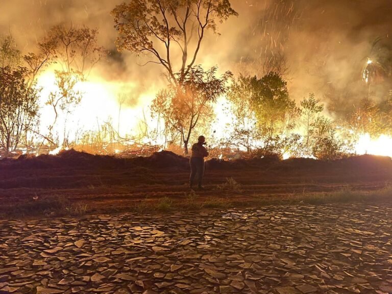 Situación de los incendios a nivel país