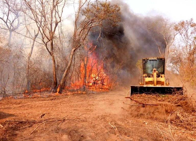 Incendios en el Chaco habrían sido provocados