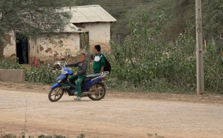 Diputados buscan impulsar proyecto que podría conceder a menores de edad la licencia de conducir