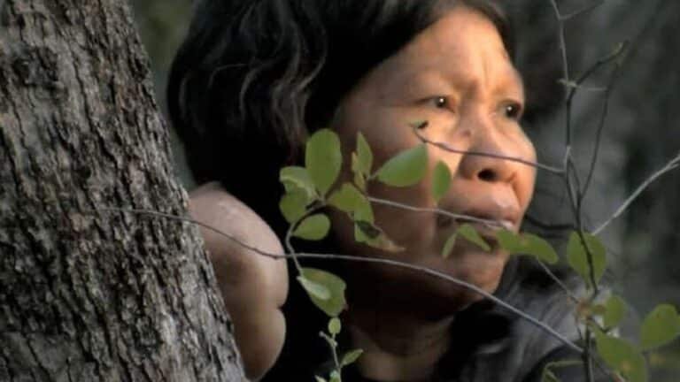 Amenaza al pueblo Ayoreo por la deforestación en el Chaco