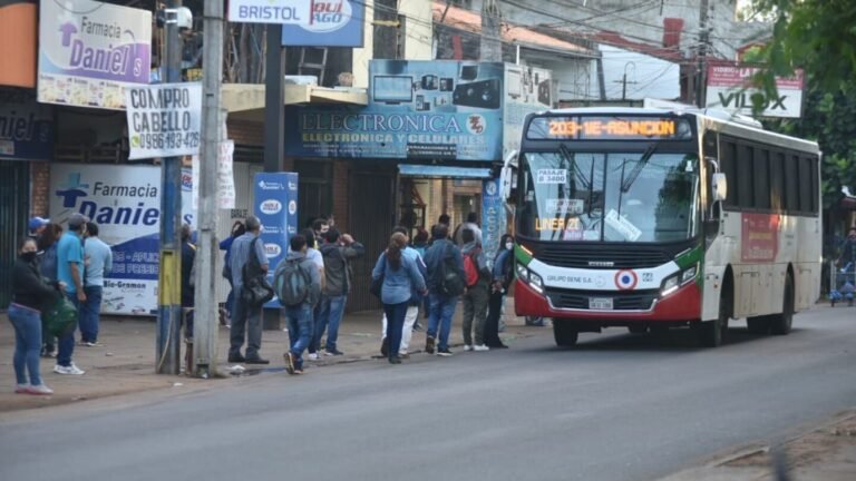 OPAMA advierte: «Vivimos en una regulada permanente y el gobierno es responsable del colapso del transporte»