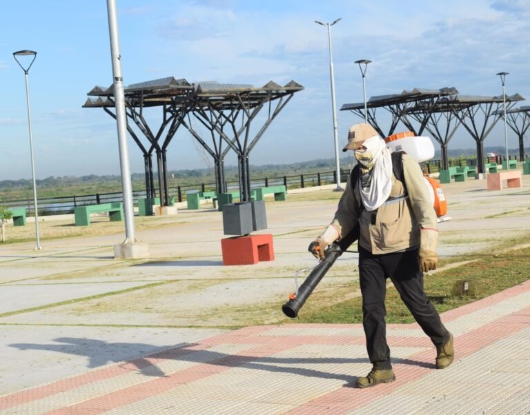 Limpieza en la Costanera Sur y anuncian plan permanente de mantenimiento.