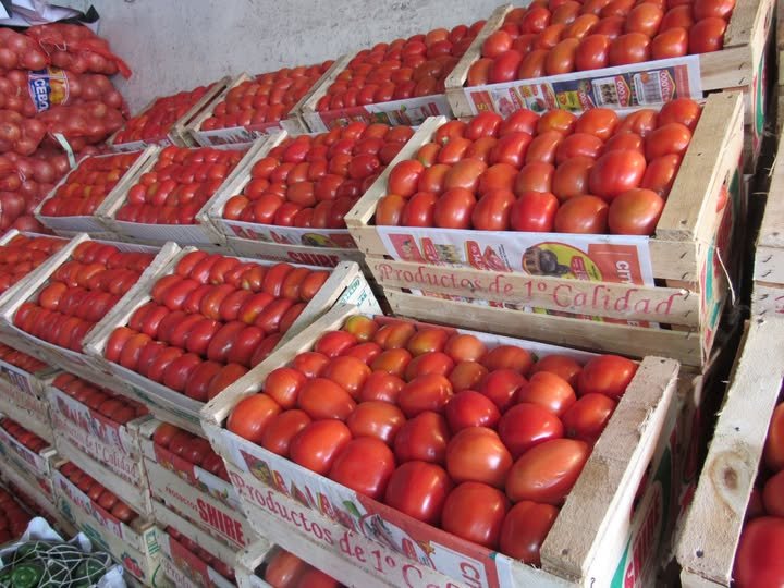 CAPASU llama a tomar medidas urgentes para corregir el precio del tomate en el mercado