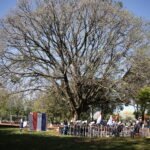 A Todo Pulmón está en busca de los próximos «Colosos de la Tierra» 