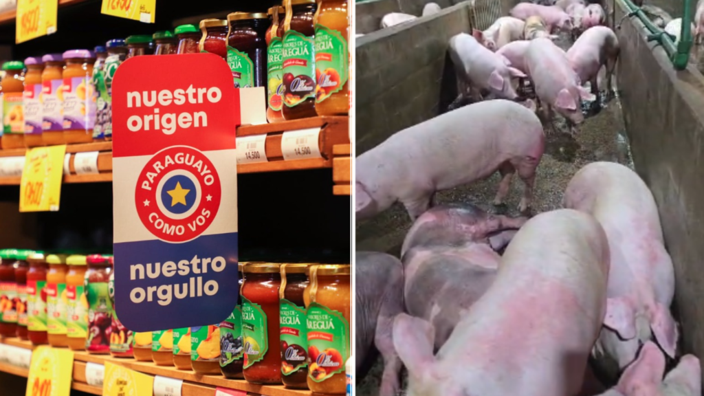 Paraguay amplía destinos de exportación, mientras productores alertan sobre ingreso irregular de carne porcina