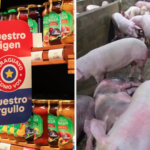 Paraguay amplía destinos de exportación, mientras productores alertan sobre ingreso irregular de carne porcina