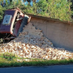 Otro camión ladrillero sufrió una falla de frenos y dejó un fallecido en Azcurra
