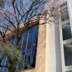 ANEAES advierte que más de 1.000 carreras nunca fueron evaluadas y busca inscribir otras 800