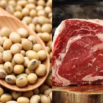 Carne, soja e industrialización: Ingeniero destaca expansión del agro paraguayo hacia más mercados