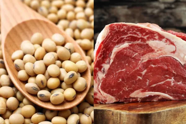 Carne, soja e industrialización: Ingeniero destaca expansión del agro paraguayo hacia más mercados