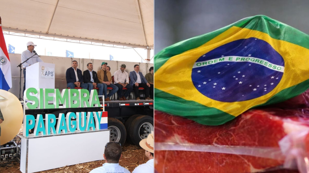 En Campo 9 inicia campaña sojera y Brasil podría adueñarse de mercados de exportación paraguaya