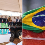 En Campo 9 inicia campaña sojera y Brasil podría adueñarse de mercados de exportación paraguaya