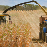 MAG rechaza subir impuestos al agro y reclama equidad en cuotas del Mercosur