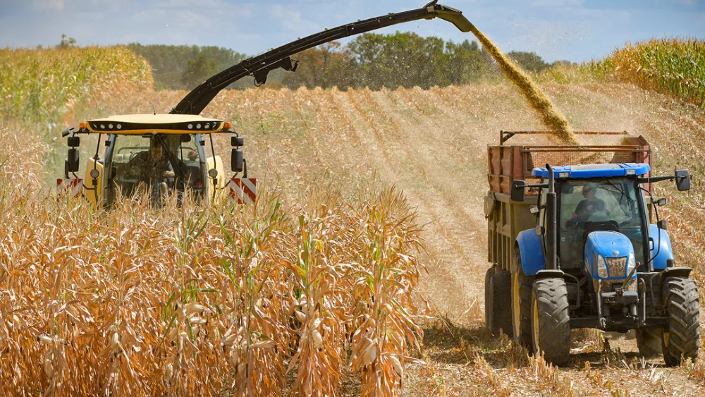 MAG rechaza subir impuestos al agro y reclama equidad en cuotas del Mercosur