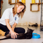 Jaz Galeano enfoca su gestión en protección animal, espacios públicos y control municipal
