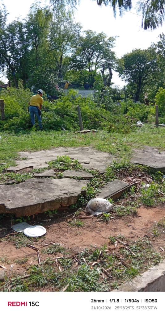 Denuncian tala de árboles nativos en 21 Proyectadas y cuestionan intervención de ANDE