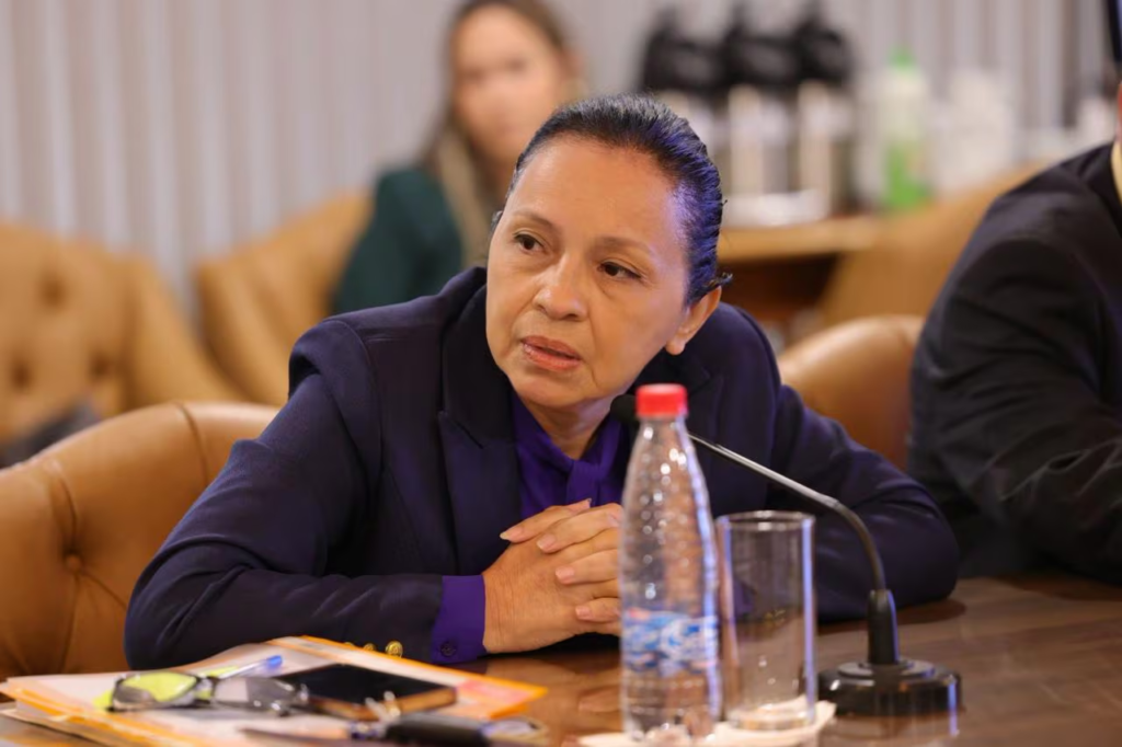 Yolanda Paredes quiere disputar la Presidencia en 2028 y pide chapa única opositora